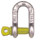 Screw Pin Chain D-Shackle
