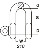 Chain D- Shackles 