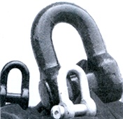 Anchor Shackle